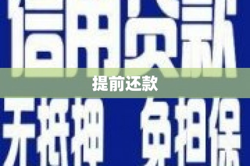 卧龙提前还款