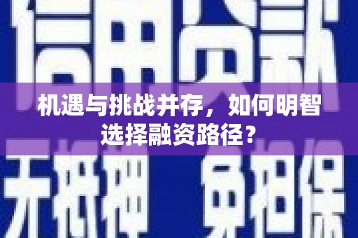 卧龙机遇与挑战并存，如何明智选择融资路径？