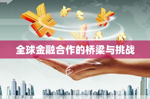 卧龙全球金融合作的桥梁与挑战