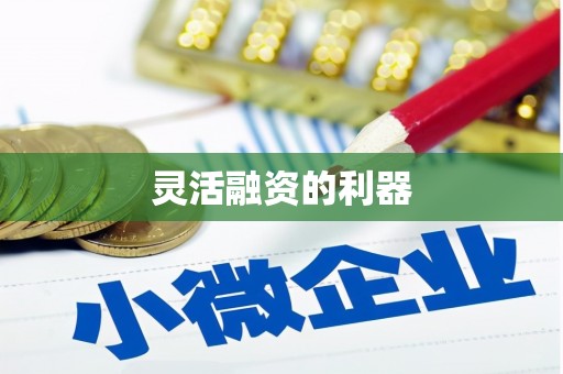 卧龙灵活融资的利器
