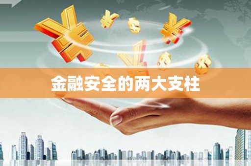 卧龙金融安全的两大支柱