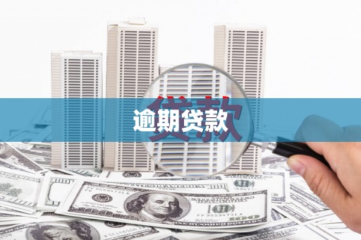 卧龙逾期贷款