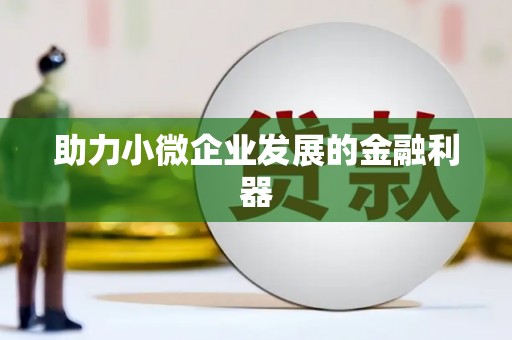 卧龙助力小微企业发展的金融利器