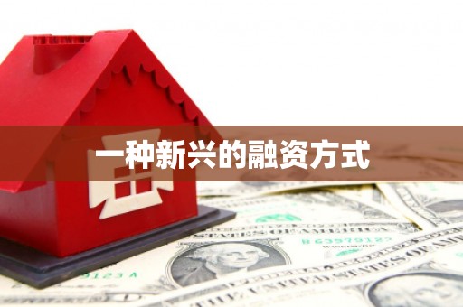 卧龙一种新兴的融资方式