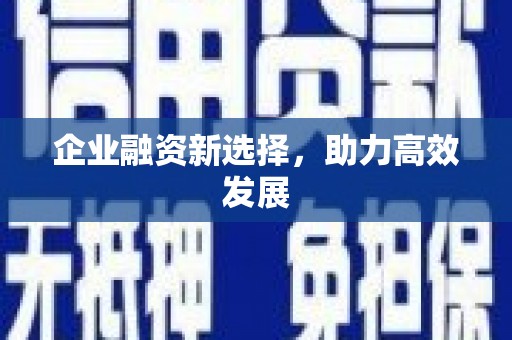 卧龙企业融资新选择，助力高效发展