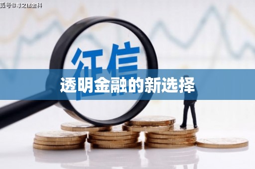 卧龙透明金融的新选择