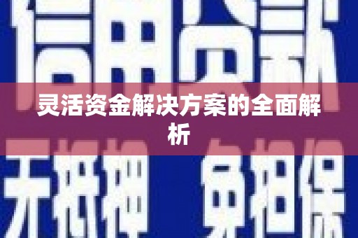 卧龙灵活资金解决方案的全面解析