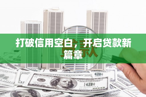 卧龙打破信用空白，开启贷款新篇章