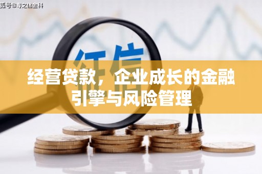 卧龙经营贷款，企业成长的金融引擎与风险管理