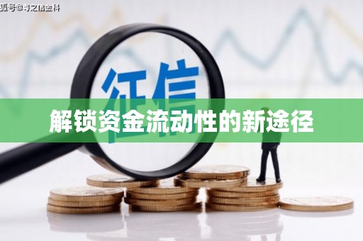 卧龙解锁资金流动性的新途径