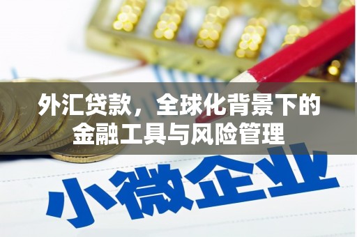 卧龙外汇贷款，全球化背景下的金融工具与风险管理