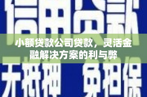 卧龙小额贷款公司贷款，灵活金融解决方案的利与弊