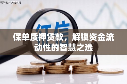 卧龙保单质押贷款，解锁资金流动性的智慧之选