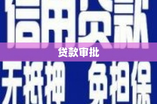 卧龙贷款审批