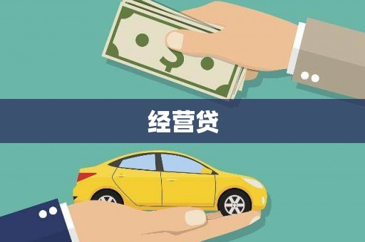 卧龙经营贷