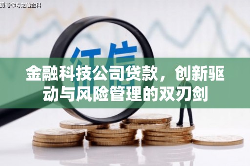 卧龙金融科技公司贷款，创新驱动与风险管理的双刃剑