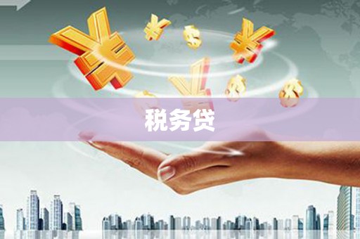 卧龙税务贷